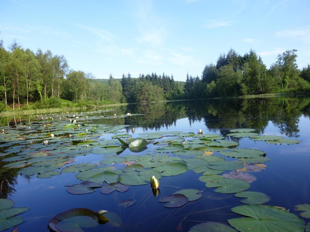 Craighindle Willa Newton Stewart Pokój zdjęcie