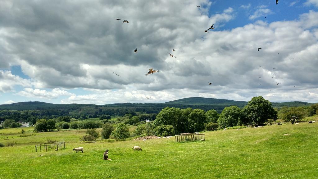 Craighindle Willa Newton Stewart Zewnętrze zdjęcie